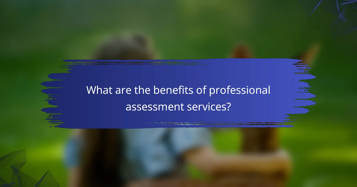 What are the benefits of professional assessment services?